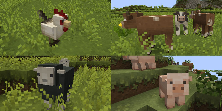 How to open optifine with java